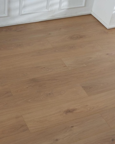 Lamiwood SELECT 8 818 Дуб Медовый